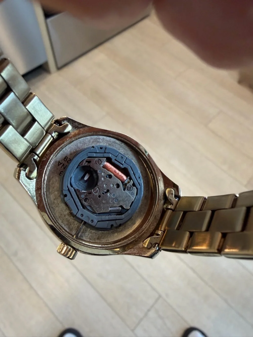 Fossil polished gold